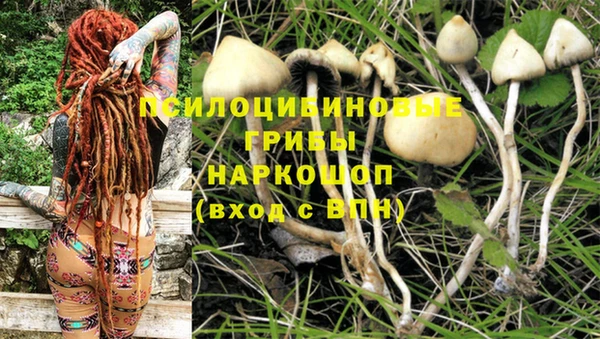 прущий лед Михайловка