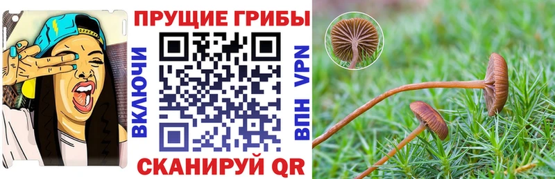 ссылка на мегу ТОР  закладки  Карабаново  Псилоцибиновые грибы мухоморы 